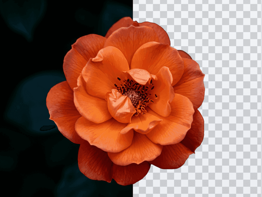 Removing background from a product image in PixaraLab